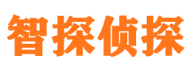 通榆侦探公司